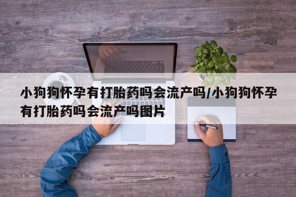 米非司酮片在线下单药店小狗狗怀孕有打胎药吗会流产吗/小狗狗怀孕有打胎药吗会流产吗图片