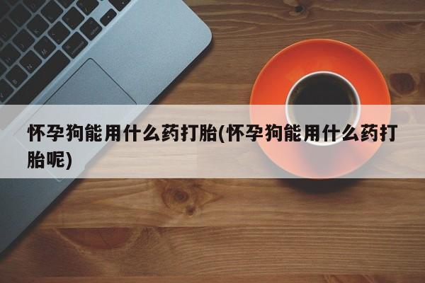 米非司酮片在线下单药店怀孕狗能用什么药打胎(怀孕狗能用什么药打胎呢)